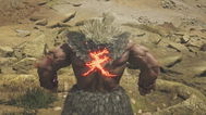 Akuma MH Wilds