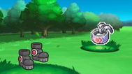 Pokémon Items Fan Art