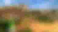 image of minecraft theme park