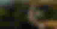 Marathon Screenshot