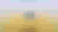 image of a minecraft wheat farm