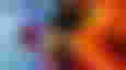 A Roblox character smiling in Blox Fruits.