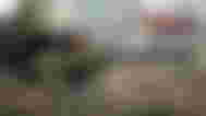 Camouflage solider aiming down a sniper scope with "TOP DEALS" text in white and red alongside.
